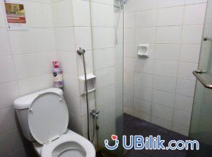 Vue toilet